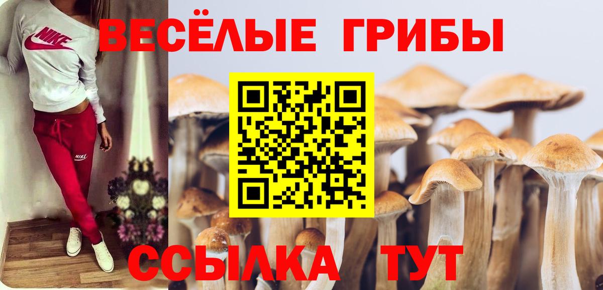 Галлюциногенные грибы Cubensis  Псилоцибиновые грибы прущие грибы  Вход с VPN  Лесозаводск 